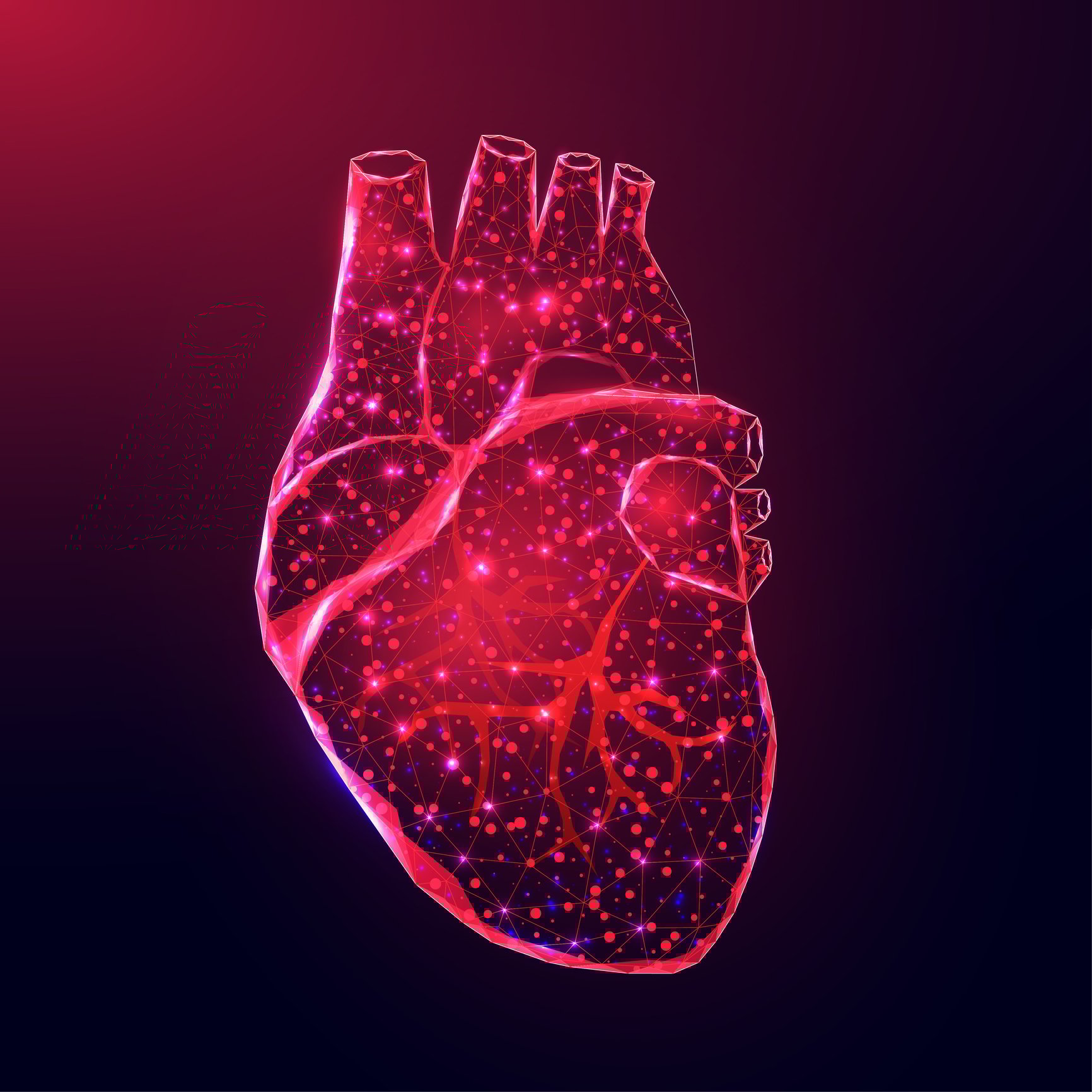image of the heart